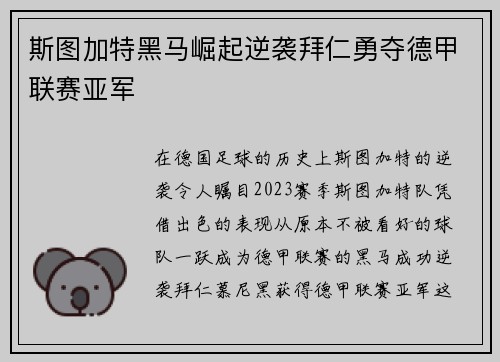 斯图加特黑马崛起逆袭拜仁勇夺德甲联赛亚军